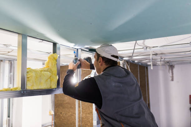 Best Insulation Maintenance and Repair in Hanahan, SC