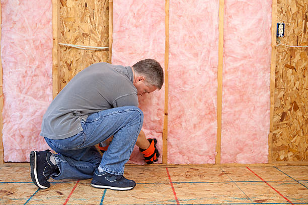 Best Energy Efficiency Solutions in Hanahan, SC